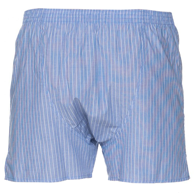 Deal boxer wijd model blauw gestreept achterkant
