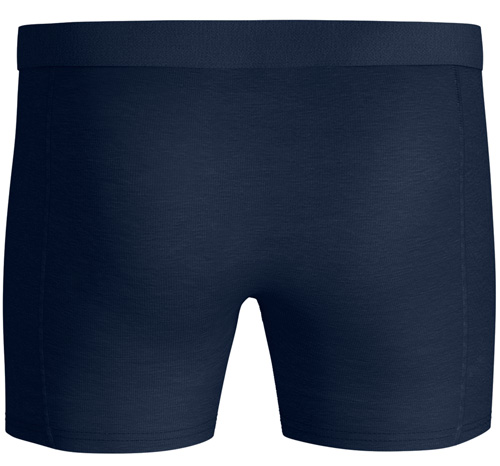 Bjorn Borg Tencel boxershorts achterkant
