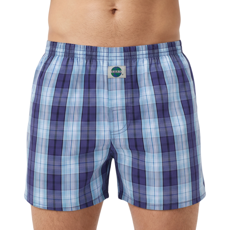 Deal boxer blauwe ruit 192306