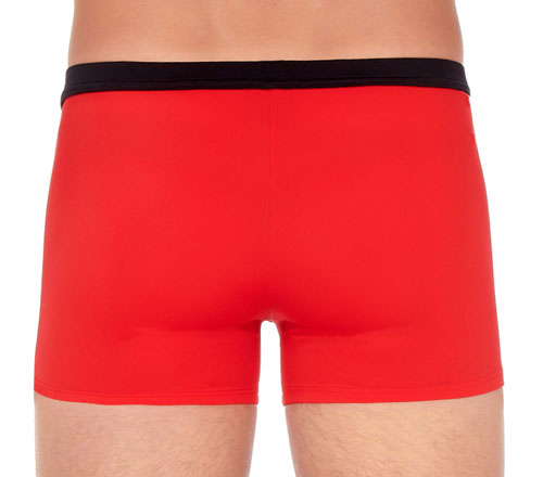 Hom Mistral zwemboxer rood achterkant