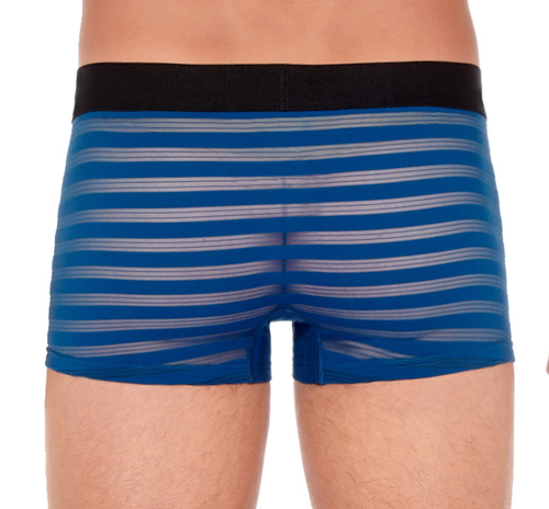 Hom boxershort Bachelor achterkant Temptation