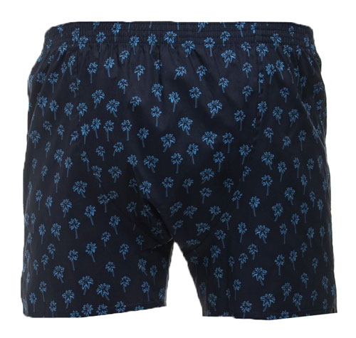DEAL boxer wijd Palmbomen achterkant
