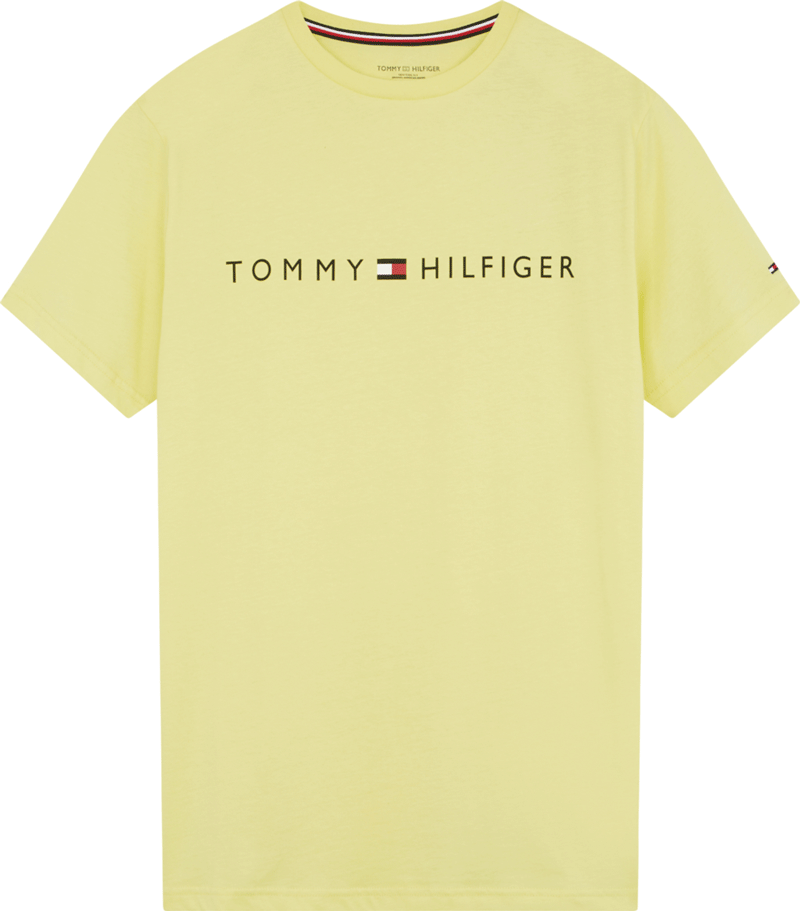 Tommy Hilfiger T-shirt logo print