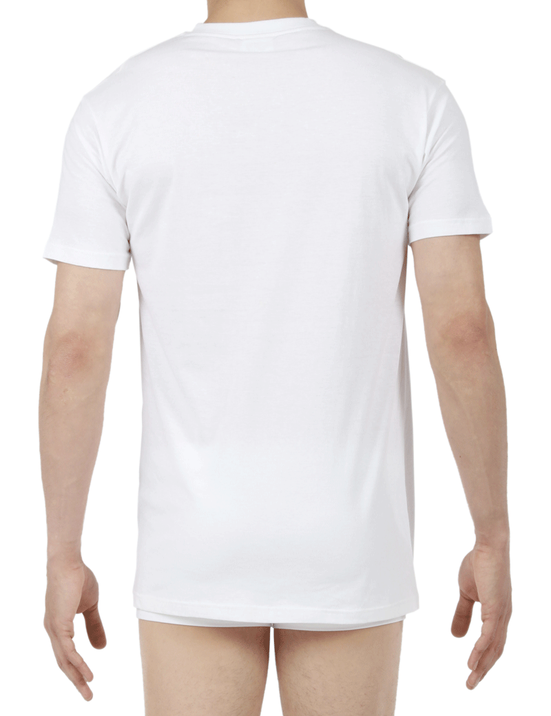 Hom Hilary T-shirt V-hals