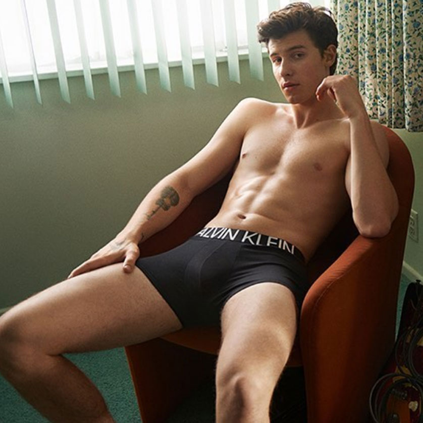 ck-shawn-mendes