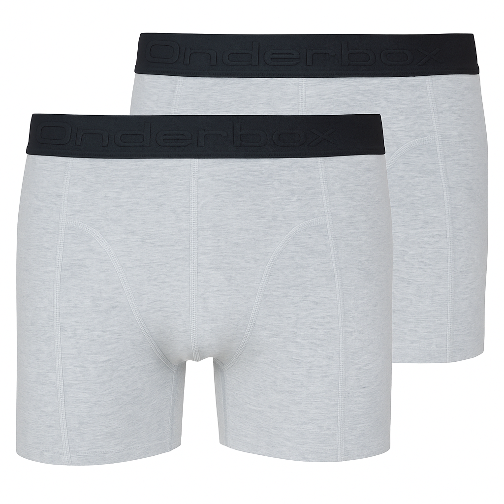 Onderbox basic boxershorts 2-pack grijs