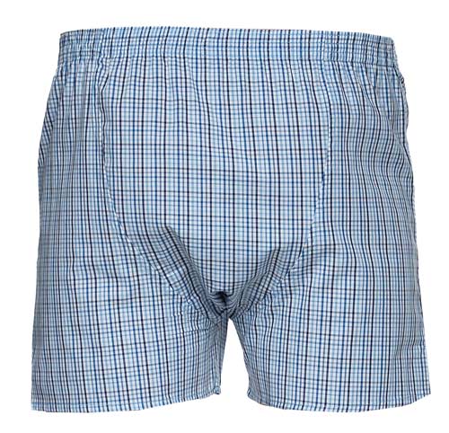 Deal boxer wijd ruitje blauw wit achterkant
