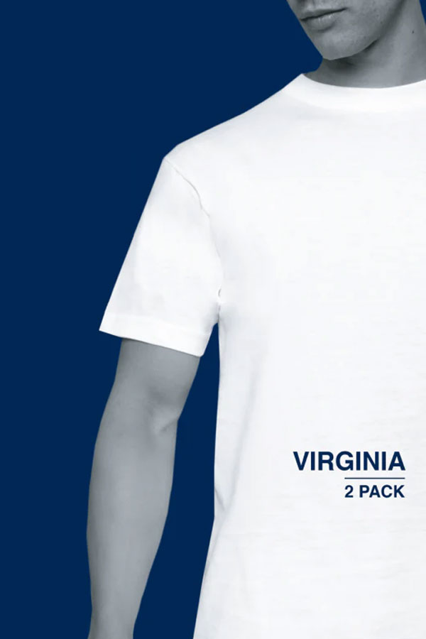 Alan Red T-shirts Virginia 2-pack blauw