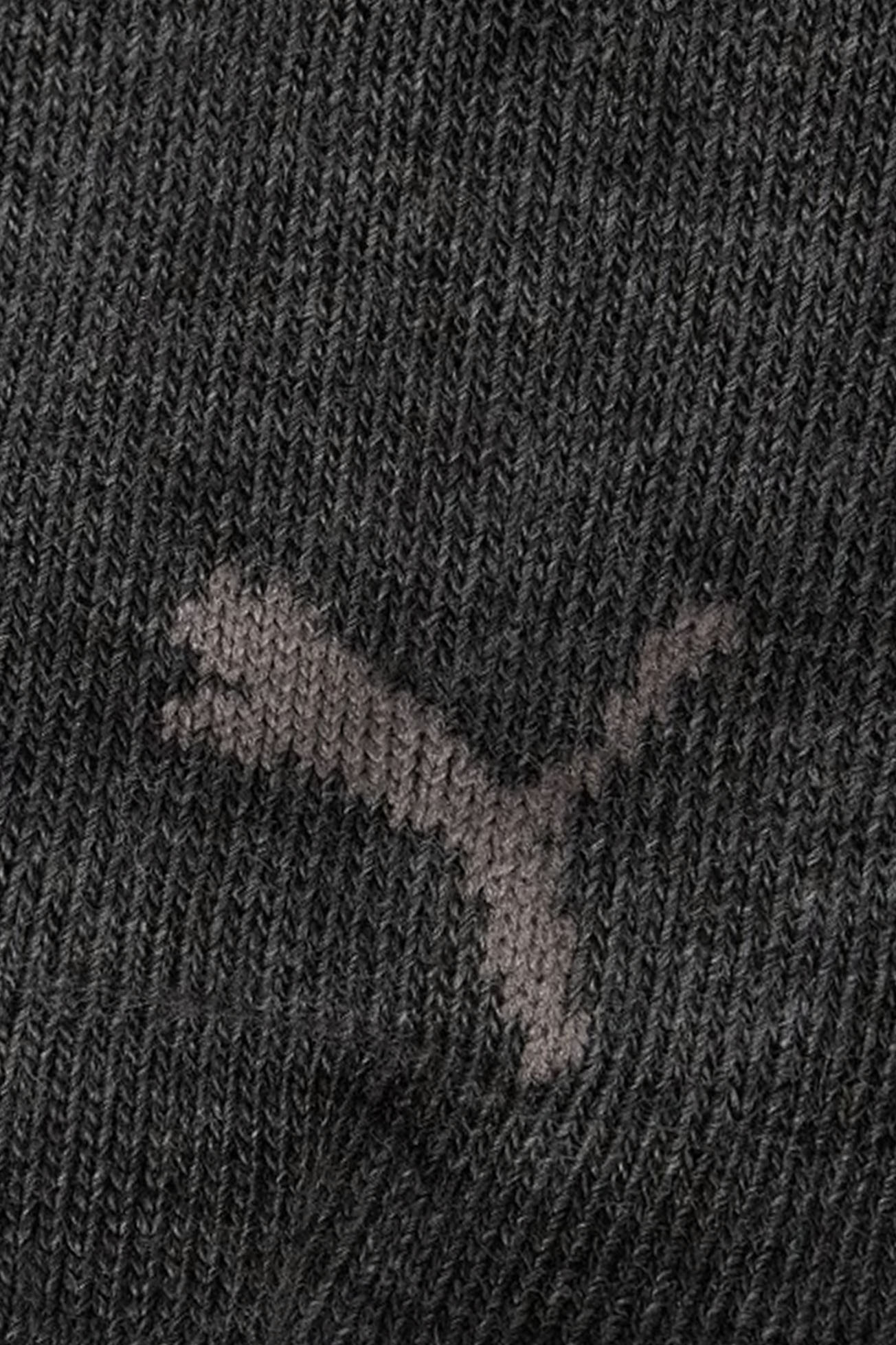 Puma Sokken classic 2-paar antraciet