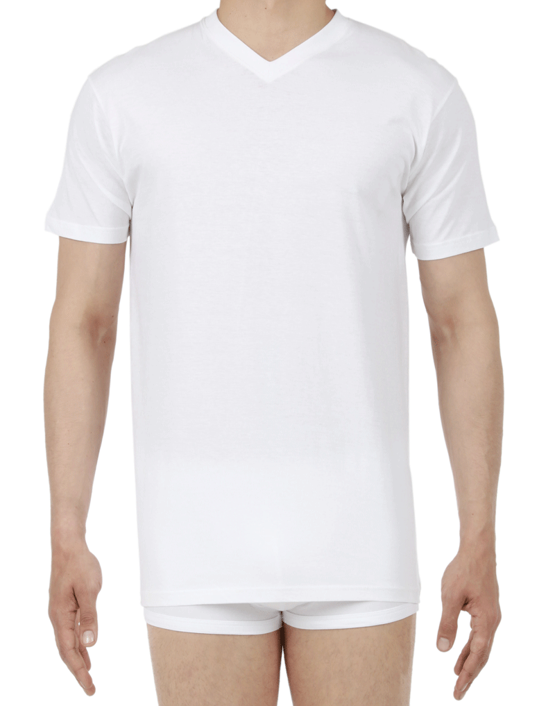 Hom Hilary T-shirt V-hals