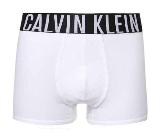 Calvin Klein Short Intense power wit
