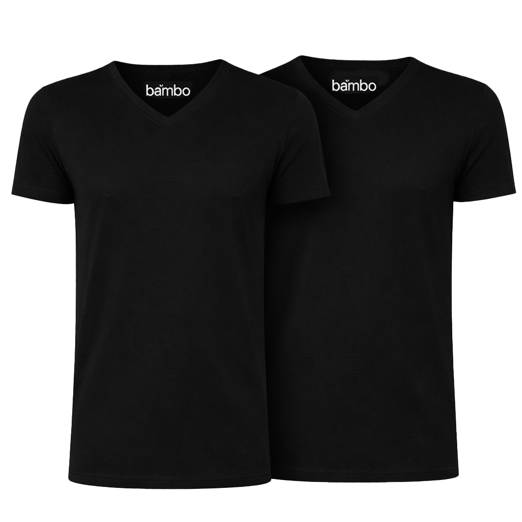Apollo Bamboo T-shirts V-hals 2-pack zwart